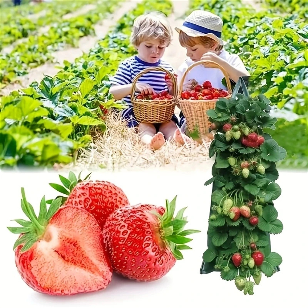 1PC Holes Hanging Strawberry P – Agriculture Vertical Farming recenzja i cena