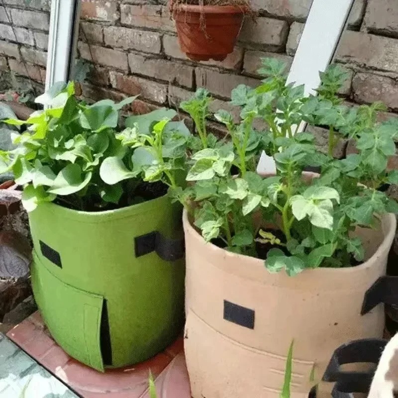 3Styles Felt plant grow bags n – Agriculture Vertical Farming recenzja i cena