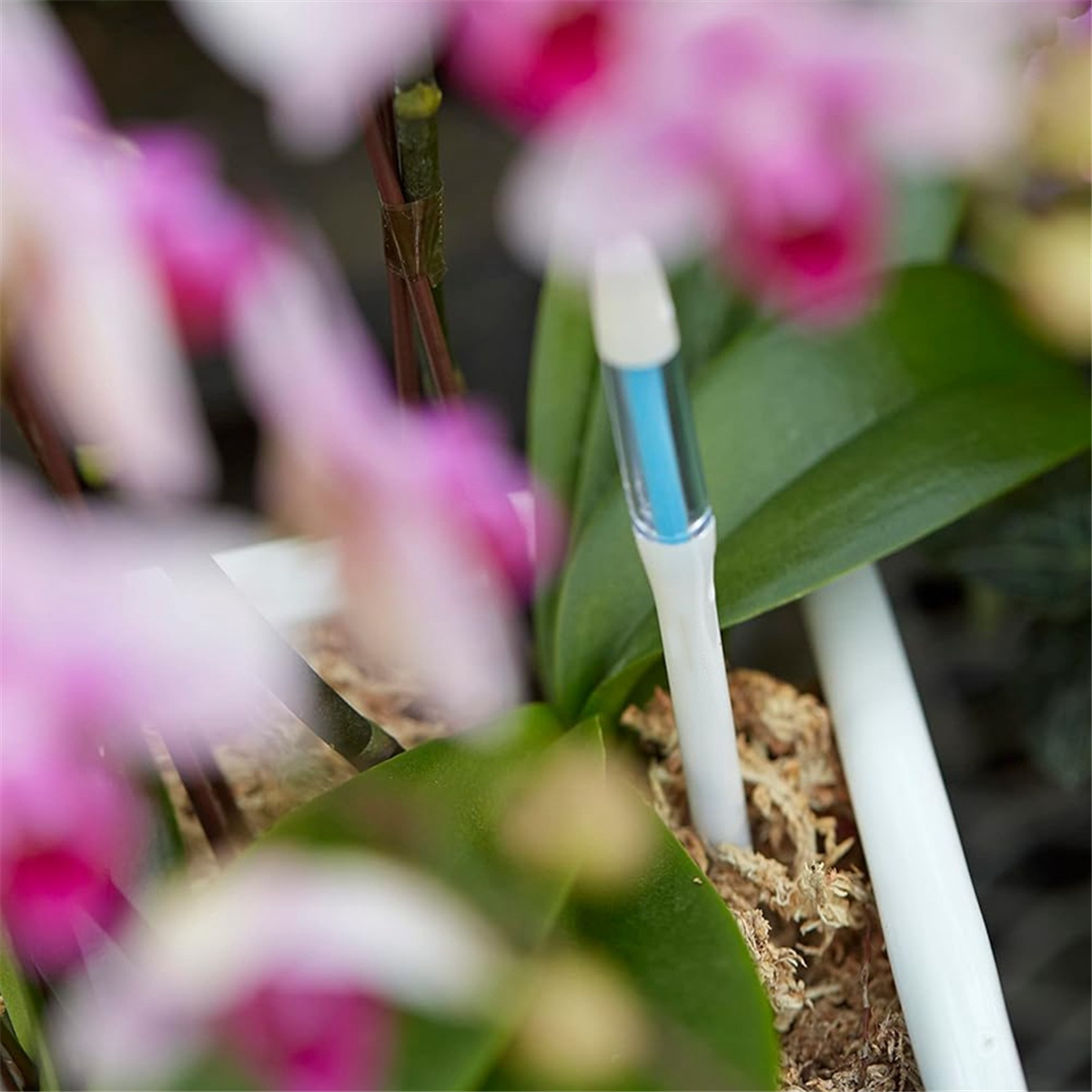 ABNJ Aquameter, 5pcs, Plant So – Soil Moisture Sensor recenzja i cena