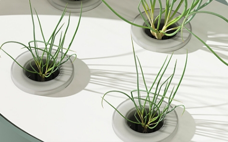 China Quality Agricultural Int – Agriculture Vertical Farming recenzja i cena