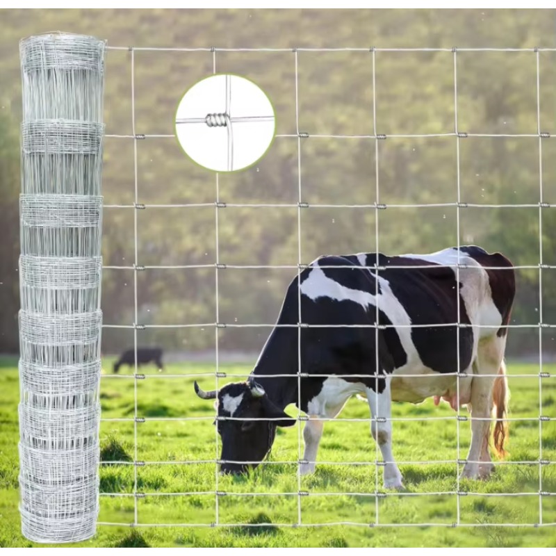 Customized Iron Wire Mesh Fixe – Farming In Agriculture recenzja i cena