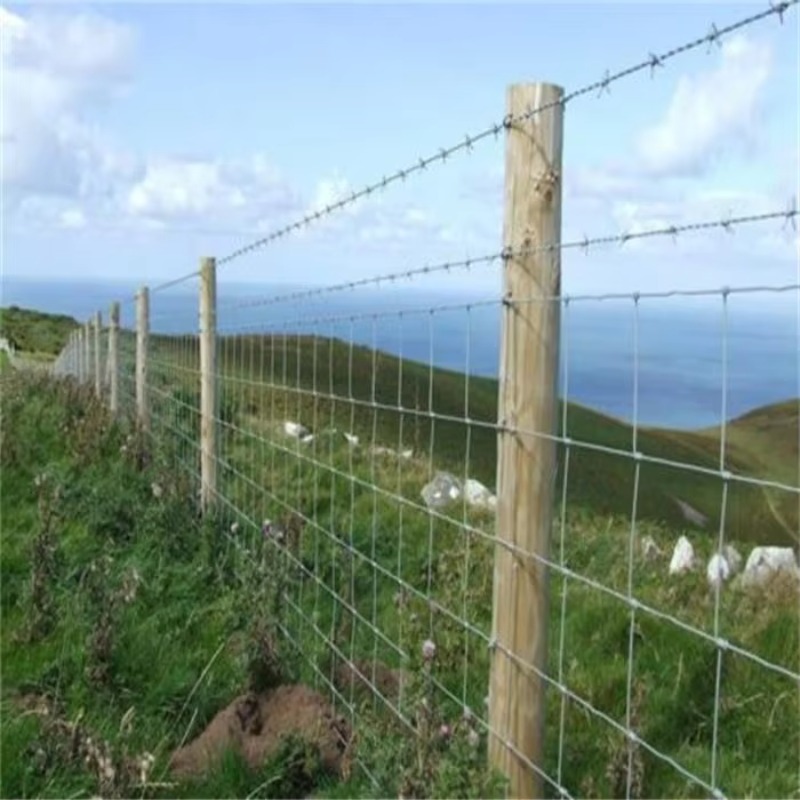 Customized Iron Wire Mesh Fixe – Farming In Agriculture recenzja i cena