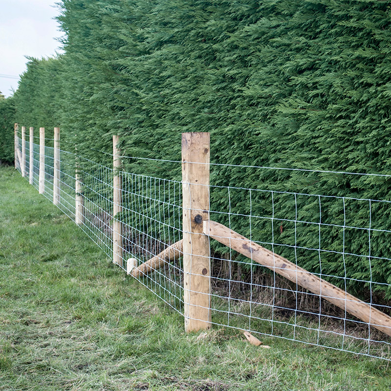 Customized Iron Wire Mesh Fixe – Farming In Agriculture recenzja i cena