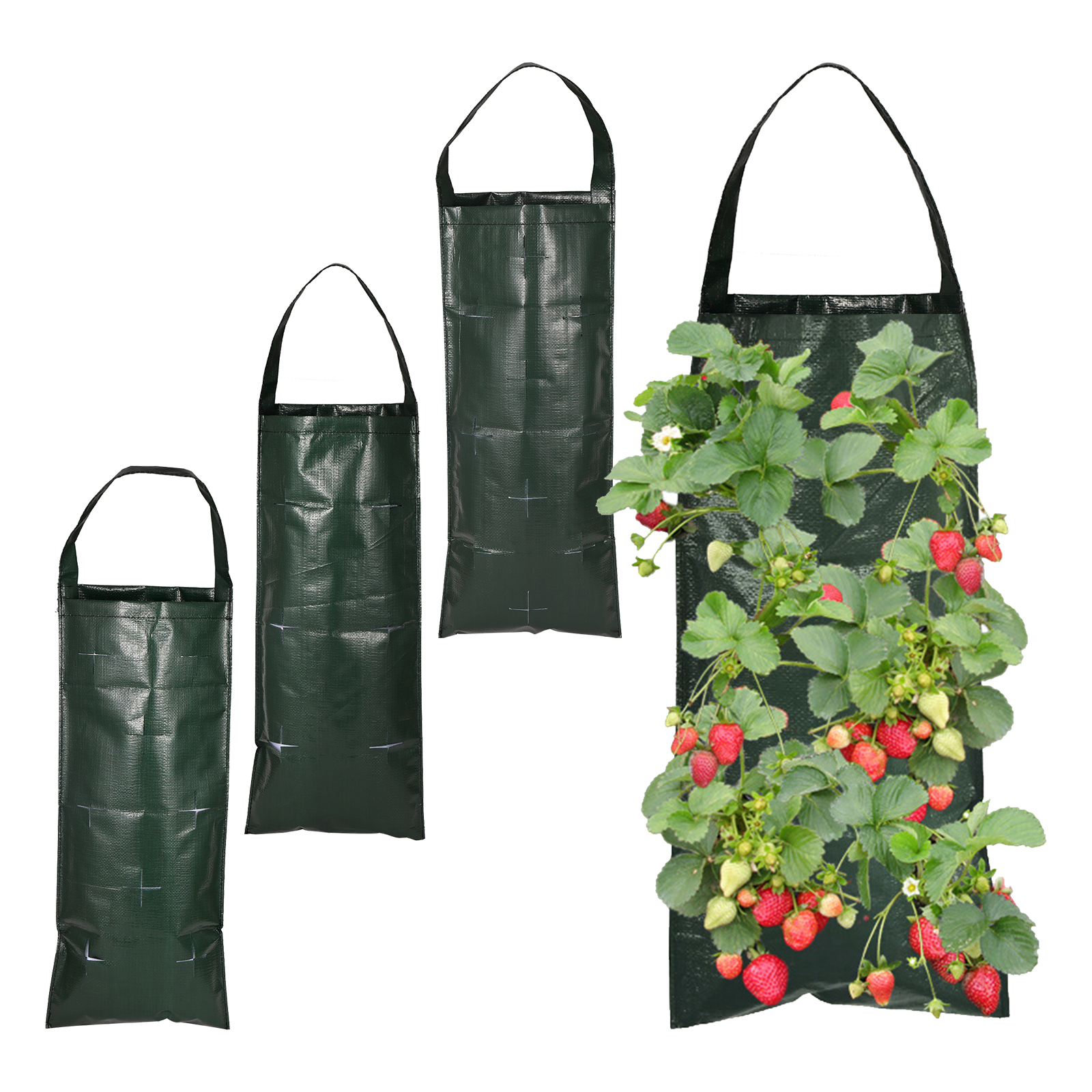 6/8/10 Holes Hanging Strawberr – Agriculture Vertical Farming recenzja i cena