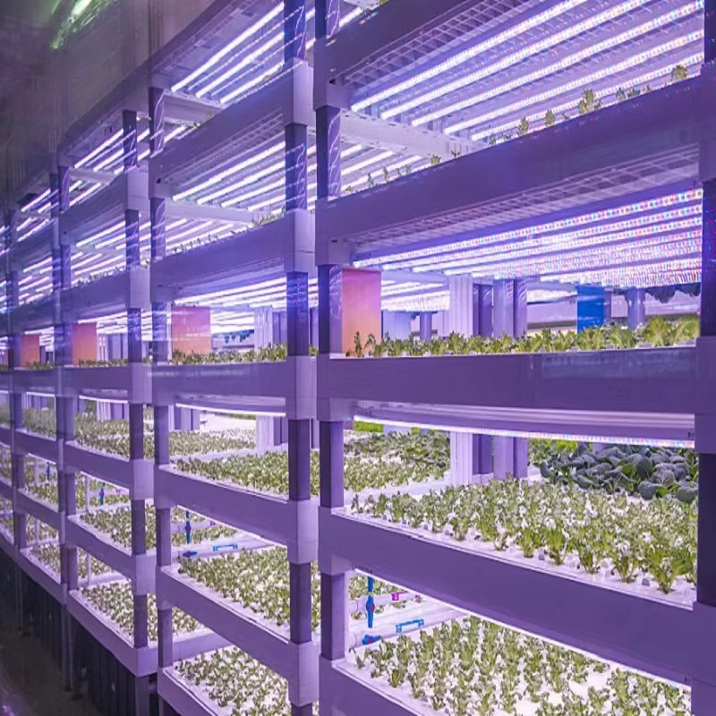 Custom Agricultural Greenhouse – Agriculture Vertical Farming recenzja i cena
