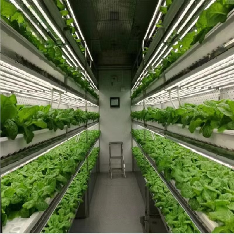 Custom Agricultural Greenhouse – Agriculture Vertical Farming recenzja i cena