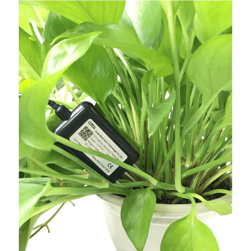 CDT-30B Rs485 0-2v Output Plan – Soil Moisture Sensor recenzja i cena