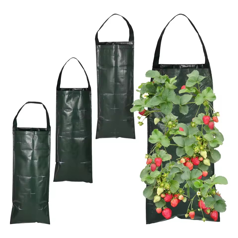 6/8/10 Holes Hanging Strawberr – Agriculture Vertical Farming recenzja i cena