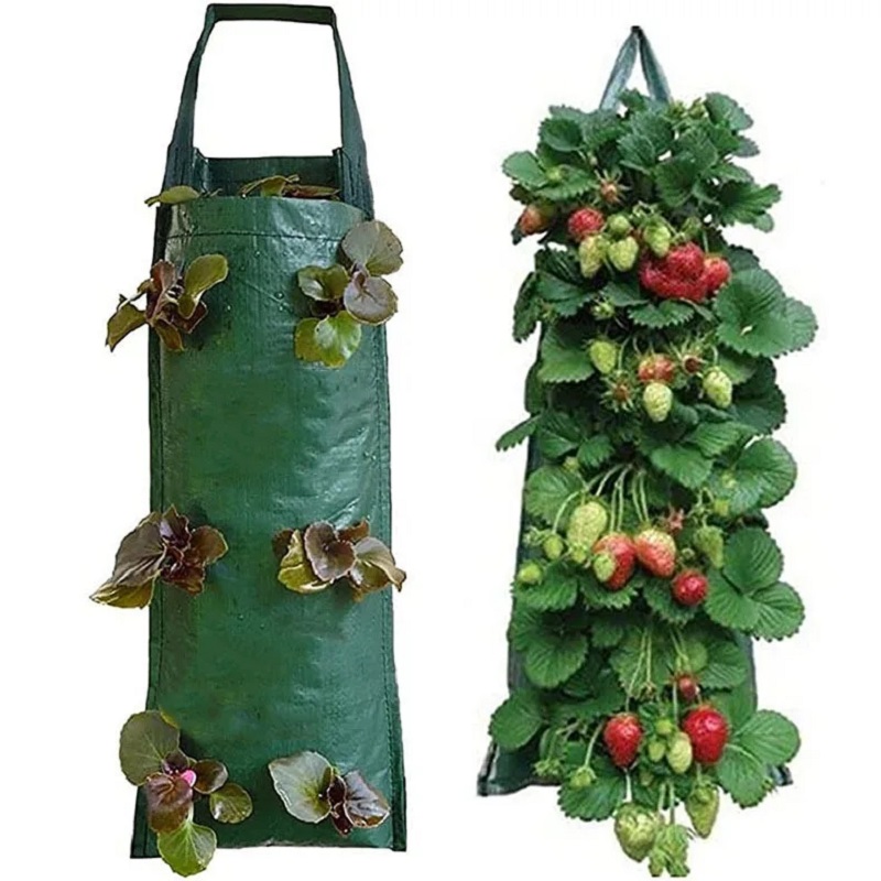6/8/10 Holes Hanging Strawberr – Agriculture Vertical Farming recenzja i cena