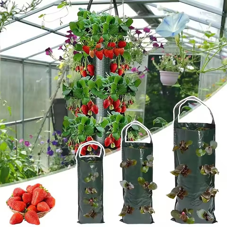 6/8/10 Holes Hanging Strawberr – Agriculture Vertical Farming recenzja i cena