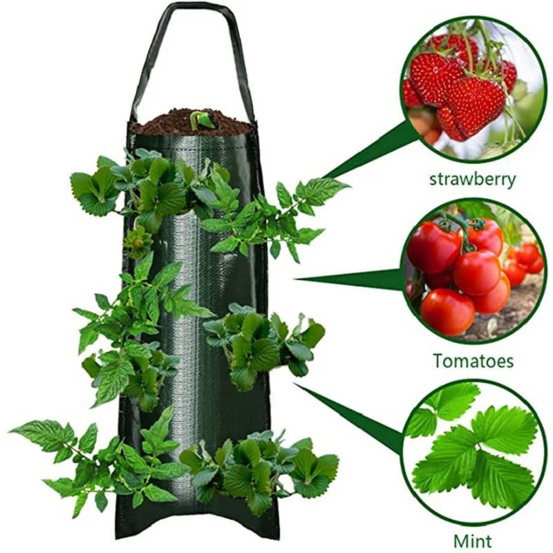 6/8/10 Holes Hanging Strawberr – Agriculture Vertical Farming recenzja i cena